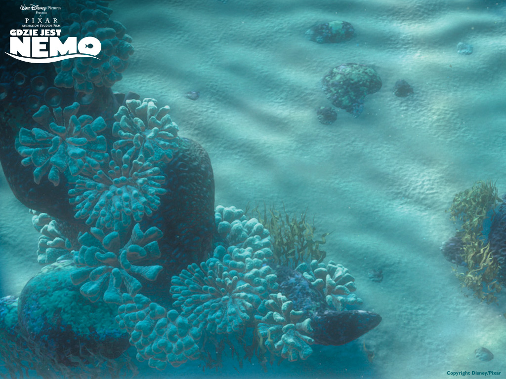 koralowiec podwodne puzle 